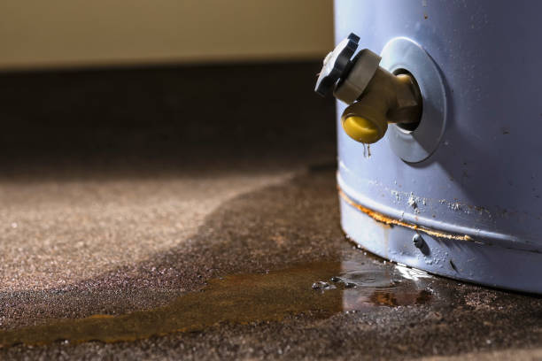 Best 24-hour water damage restoration  in Grace, ID