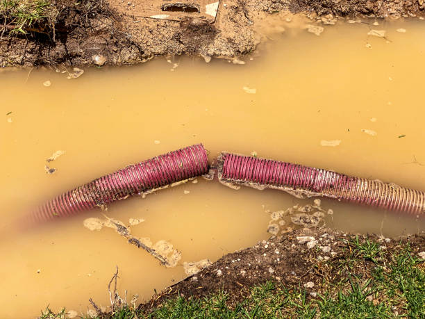 Best Flood damage cleanup  in Grace, ID